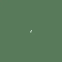 墨夜 (Midnight Ink) - 里番动漫 创作者头像